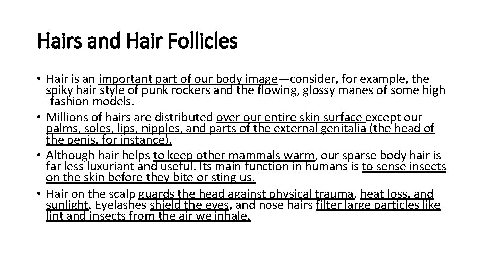 Hairs and Hair Follicles • Hair is an important part of our body image—consider,