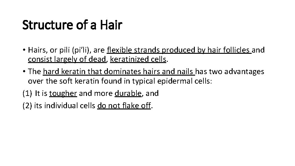 Structure of a Hair • Hairs, or pili (pi′li), are flexible strands produced by