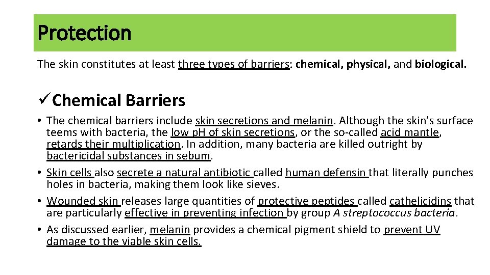 Protection The skin constitutes at least three types of barriers: chemical, physical, and biological.