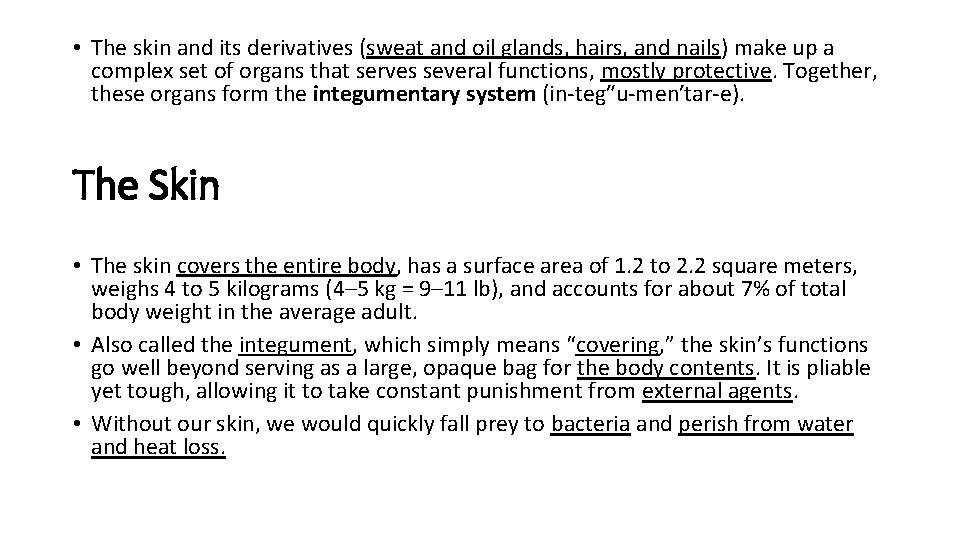  • The skin and its derivatives (sweat and oil glands, hairs, and nails)