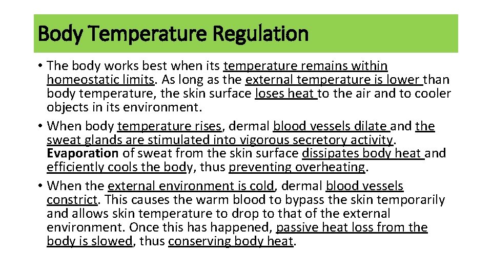 Body Temperature Regulation • The body works best when its temperature remains within homeostatic