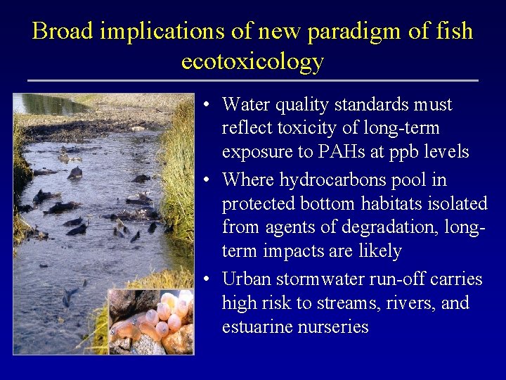 Broad implications of new paradigm of fish ecotoxicology • Water quality standards must reflect