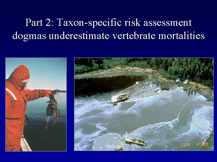 Part 2: Taxon-specific risk assessment dogmas underestimate vertebrate mortalities 