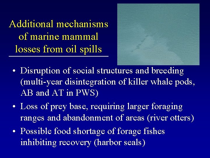Additional mechanisms of marine mammal losses from oil spills • Disruption of social structures