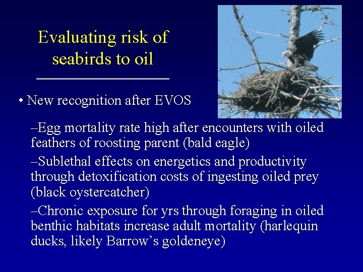 Evaluating risk of seabirds to oil • New recognition after EVOS –Egg mortality rate