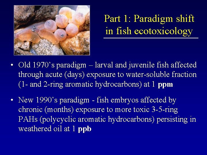 Part 1: Paradigm shift in fish ecotoxicology • Old 1970’s paradigm – larval and