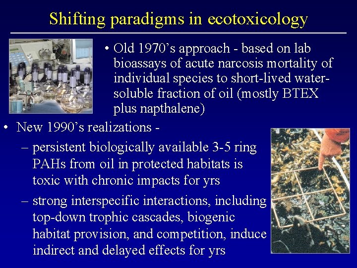 Shifting paradigms in ecotoxicology • Old 1970’s approach - based on lab bioassays of