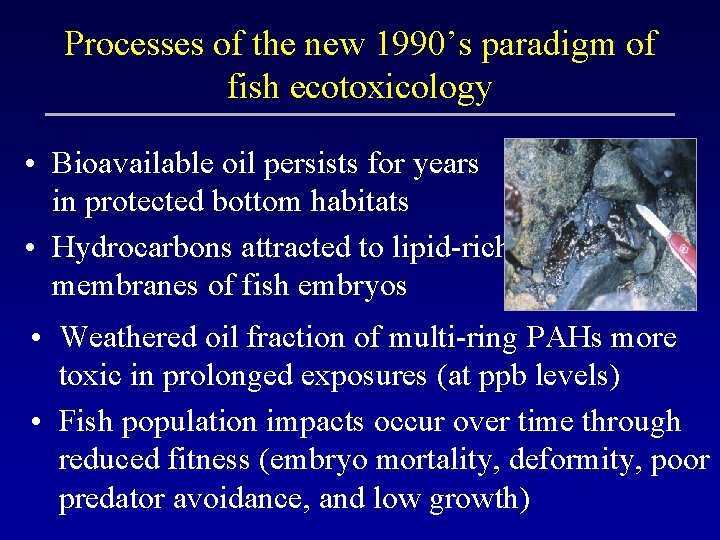 Processes of the new 1990’s paradigm of fish ecotoxicology • Bioavailable oil persists for