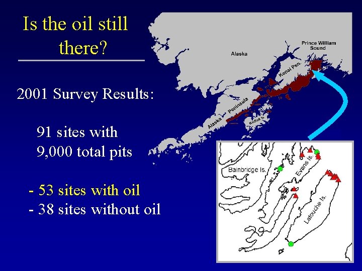 Is the oil still there? 2001 Survey Results: 91 sites with 9, 000 total