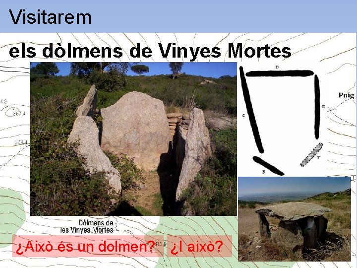 Visitarem els dòlmens de Vinyes Mortes ¿Això és un dolmen? ¿I això? 