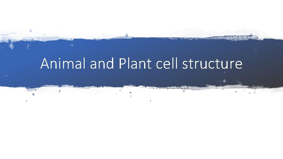 Animal and Plant cell structure 