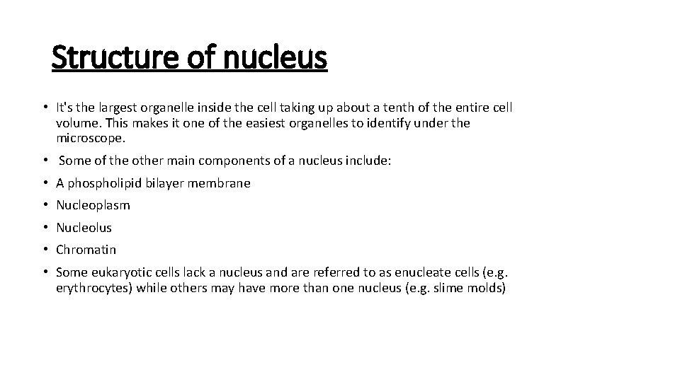 Structure of nucleus • It's the largest organelle inside the cell taking up about Structure of nucleus • It's the largest organelle inside the cell taking up about