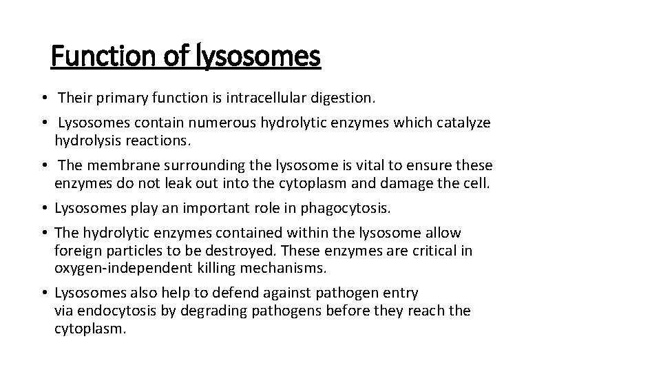 Function of lysosomes • Their primary function is intracellular digestion. • Lysosomes contain numerous