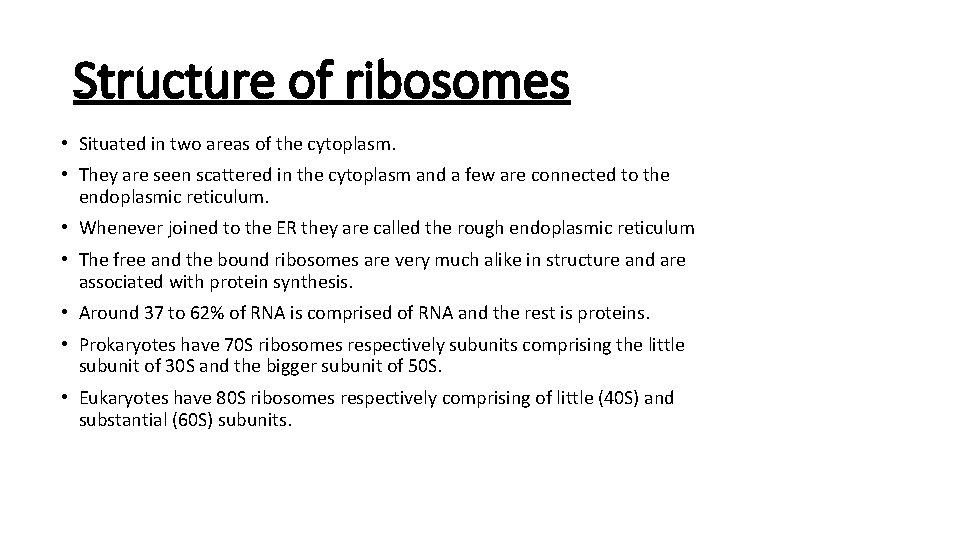 Structure of ribosomes • Situated in two areas of the cytoplasm. • They are Structure of ribosomes • Situated in two areas of the cytoplasm. • They are
