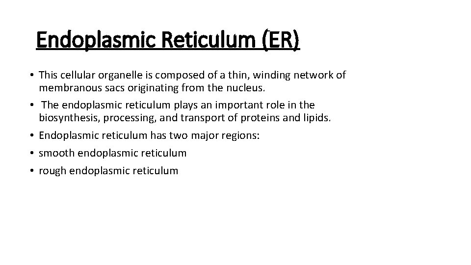 Endoplasmic Reticulum (ER) • This cellular organelle is composed of a thin, winding network