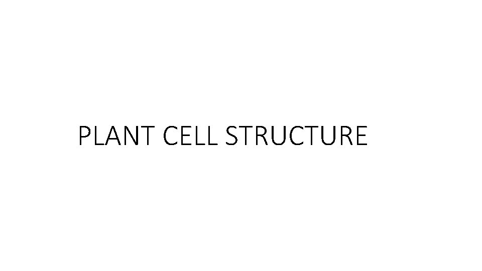 PLANT CELL STRUCTURE 