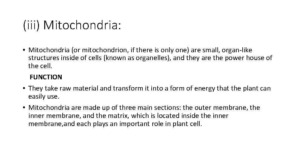 (iii) Mitochondria: • Mitochondria (or mitochondrion, if there is only one) are small, organ-like