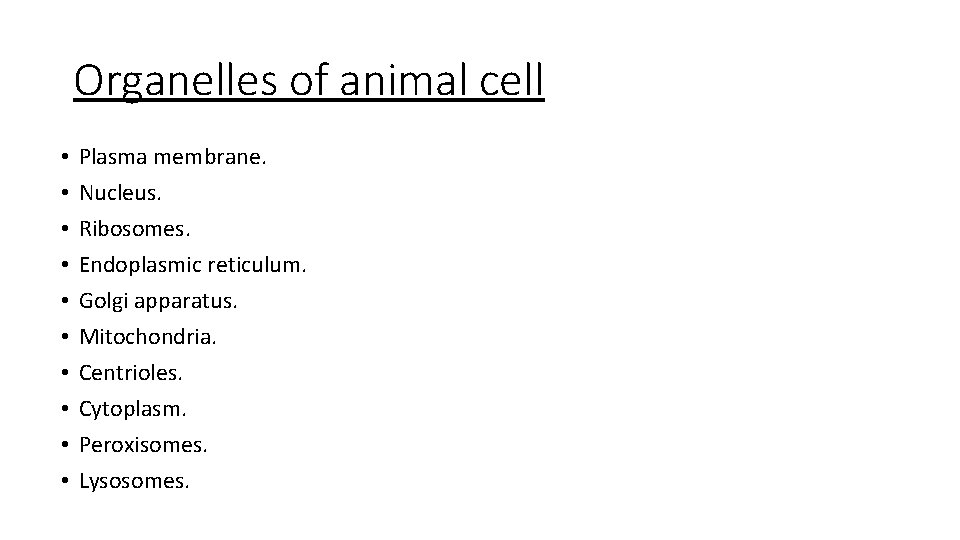 Organelles of animal cell • • • Plasma membrane. Nucleus. Ribosomes. Endoplasmic reticulum. Golgi
