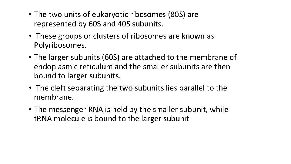  • The two units of eukaryotic ribosomes (80 S) are represented by 60