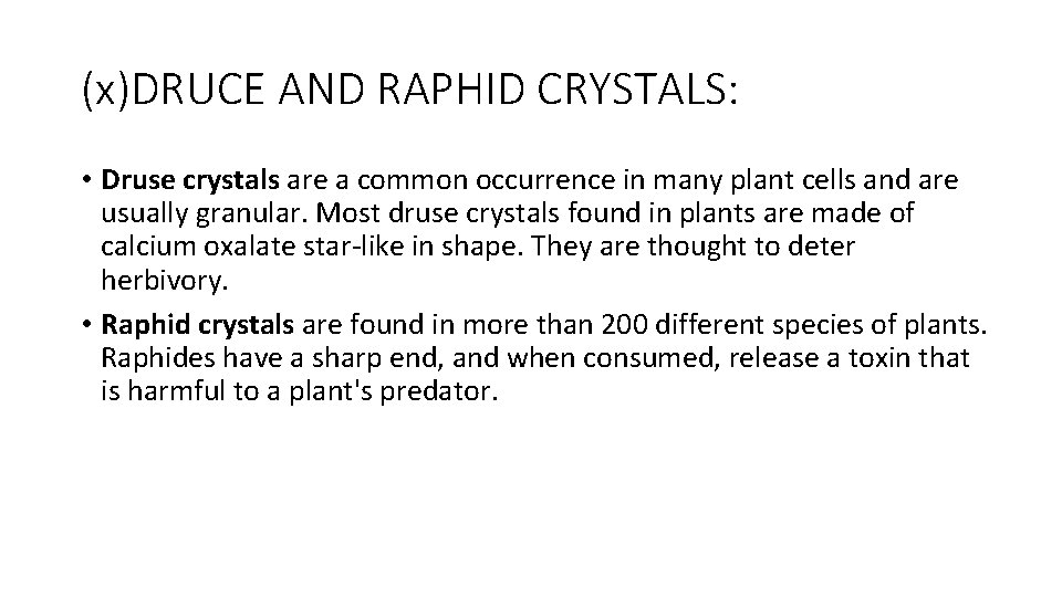 (x)DRUCE AND RAPHID CRYSTALS: • Druse crystals are a common occurrence in many plant