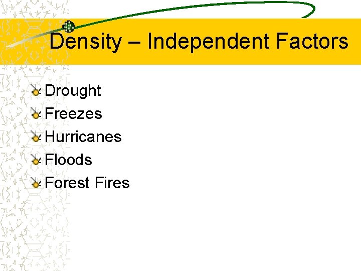 Density – Independent Factors Drought Freezes Hurricanes Floods Forest Fires 
