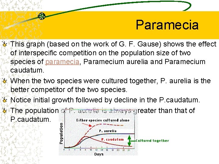 Paramecia This graph (based on the work of G. F. Gause) shows the effect