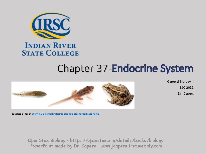 Chapter 37 -Endocrine System 37 General Biology II BSC 2011 Dr. Capers Download for