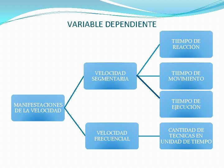 VARIABLE DEPENDIENTE TIEMPO DE REACCIÓN VELOCIDAD SEGMENTARIA TIEMPO DE MOVIMIENTO TIEMPO DE EJECUCIÓN MANIFESTACIONES