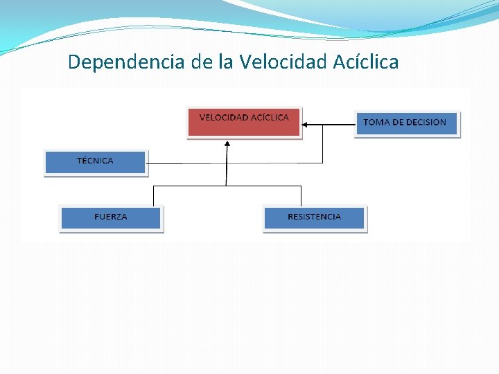 Dependencia de la Velocidad Acíclica 