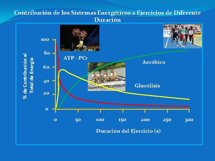 Contribución de los Sistemas Energéticos a Ejercicios de Diferente Duración % de Contribución al