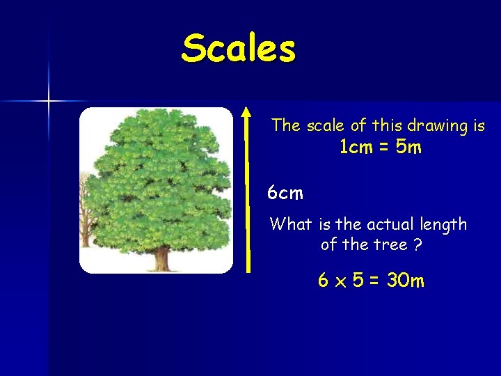 Scales The scale of this drawing is 1 cm = 5 m 6 cm