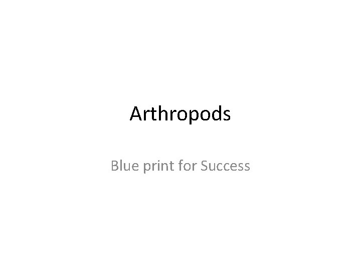 Arthropods Blue print for Success 