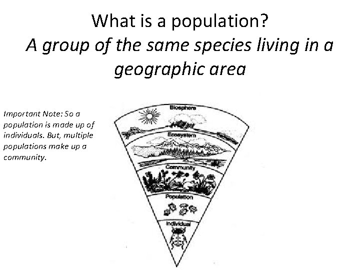 What is a population? A group of the same species living in a geographic
