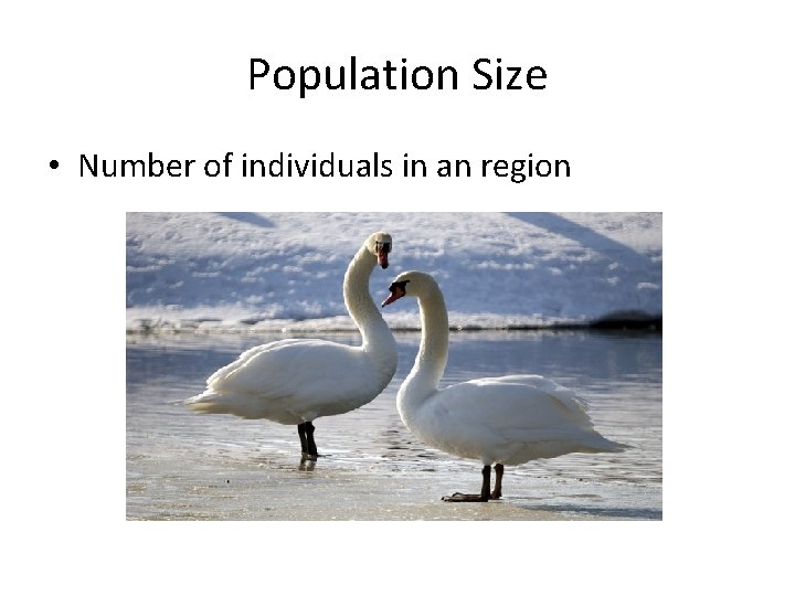 Population Size • Number of individuals in an region 