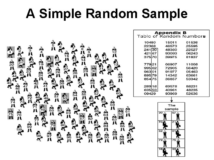 A Simple Random Sample 