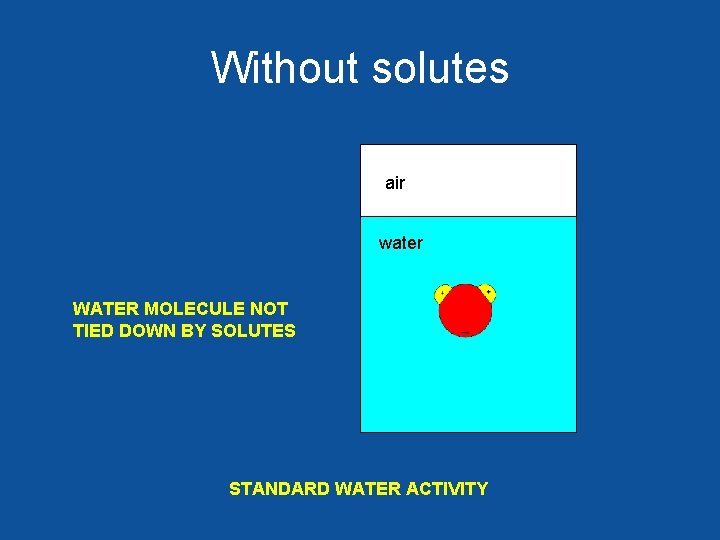 Without solutes air water WATER MOLECULE NOT TIED DOWN BY SOLUTES STANDARD WATER ACTIVITY