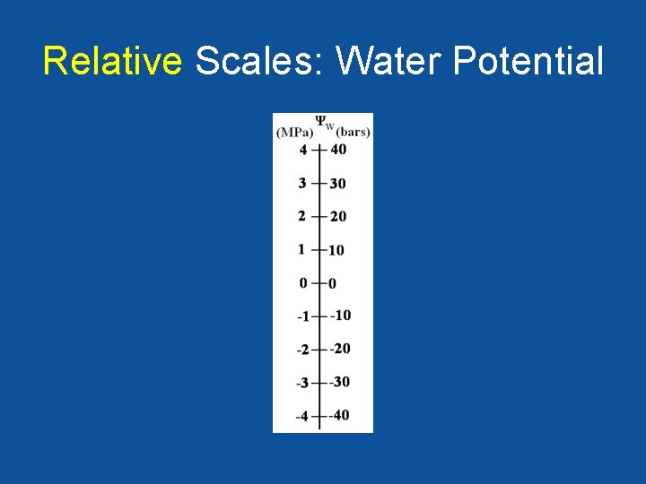 Relative Scales: Water Potential 