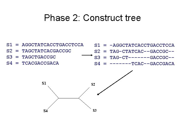 Phase 2: Construct tree S 1 S 2 S 3 S 4 = =