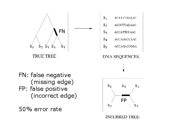FN FN: false negative (missing edge) FP: false positive (incorrect edge) 50% error rate