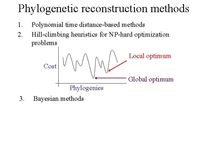 Phylogenetic reconstruction methods 1. 2. Polynomial time distance-based methods Hill-climbing heuristics for NP-hard optimization