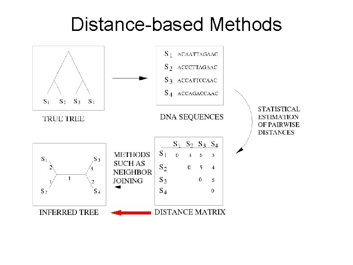 Distance-based Methods 