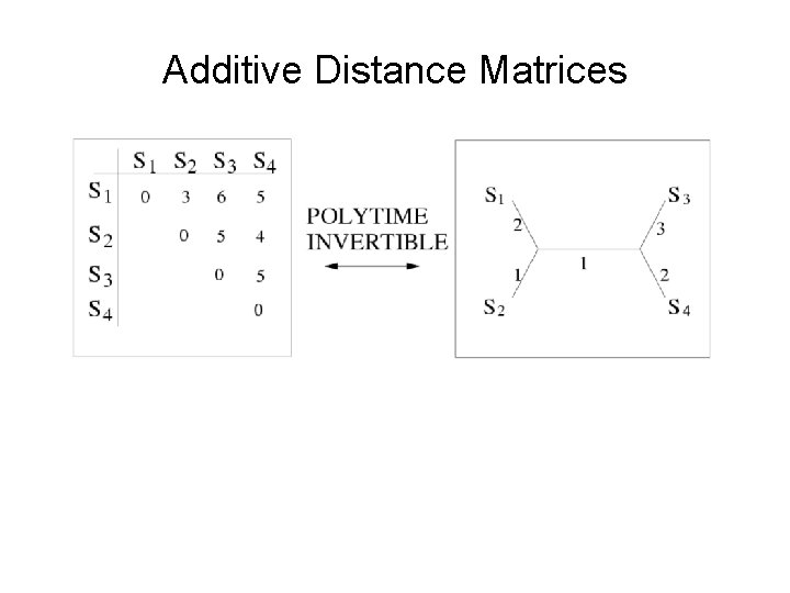 Additive Distance Matrices 