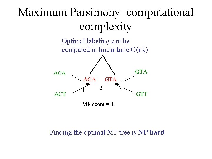 Maximum Parsimony: computational complexity Optimal labeling can be computed in linear time O(nk) ACA