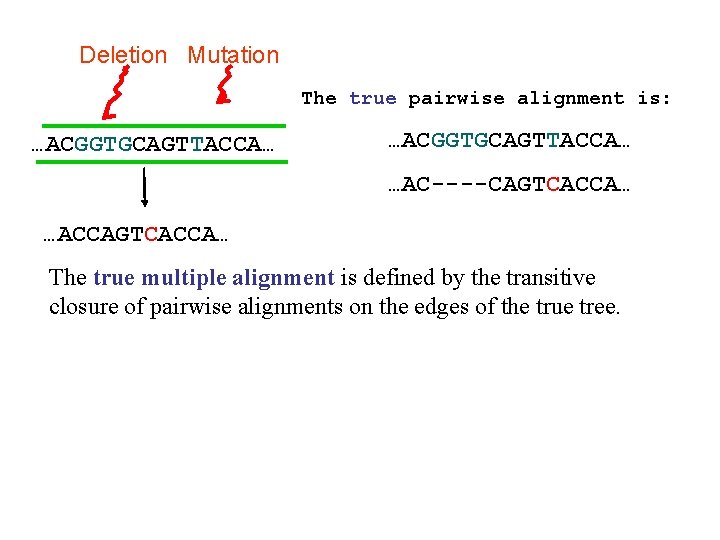 Deletion Mutation The true pairwise alignment is: …ACGGTGCAGTTACCA… …AC----CAGTCACCA… …ACCAGTCACCA… The true multiple alignment