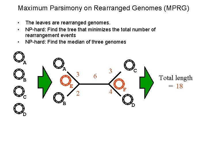 Maximum Parsimony on Rearranged Genomes (MPRG) • • • The leaves are rearranged genomes.