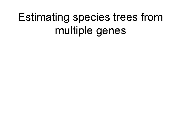 Estimating species trees from multiple genes 