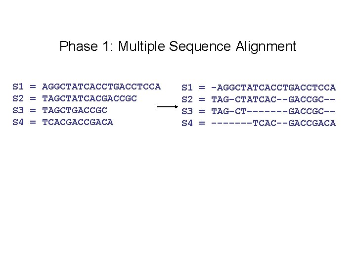 Phase 1: Multiple Sequence Alignment S 1 S 2 S 3 S 4 =
