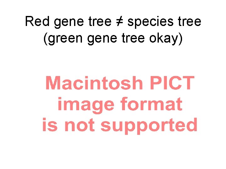 Red gene tree ≠ species tree (green gene tree okay) 