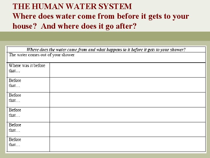 THE HUMAN WATER SYSTEM Where does water come from before it gets to your