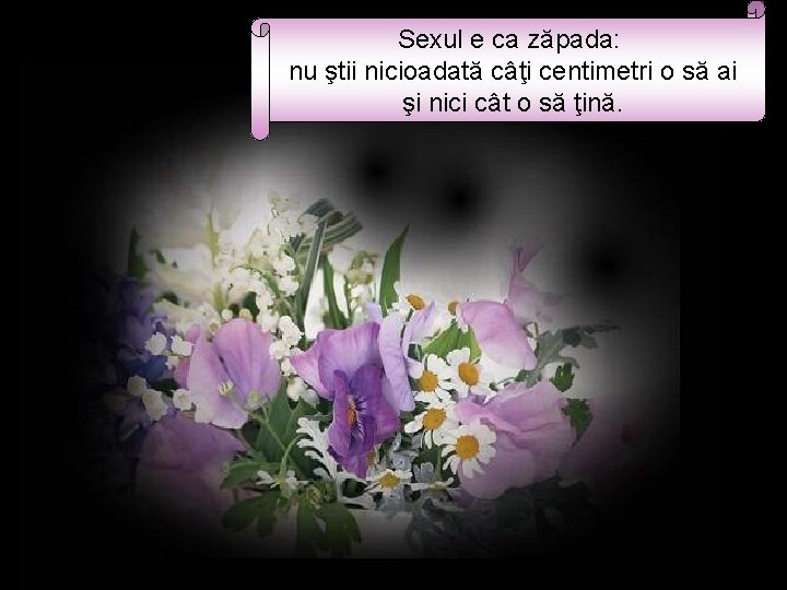 Sexul e ca zăpada: nu ştii nicioadată câţi centimetri o să ai şi nici